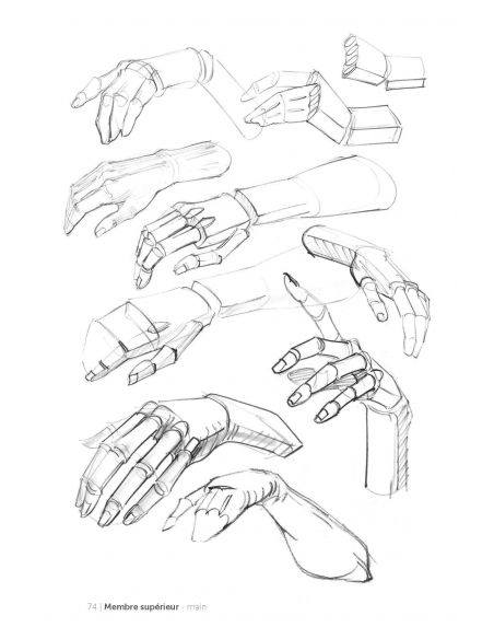 MORPHO/FORMES SYNTHETIQUES