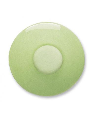 ENGOBE TERRACOLOR VERT CLAIR 200ML / 1020°C A 1080°C - FE5973