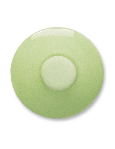 ENGOBE TERRACOLOR VERT CLAIR 200ML / 1020°C A 1080°C - FE5973