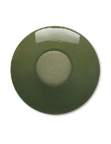 ENGOBE TERRACOLOR VERT 200ML / 1020°C A 1080°C - FE5966