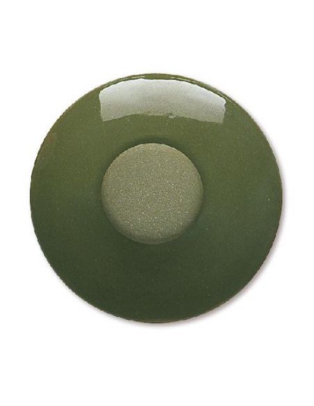 ENGOBE TERRACOLOR VERT 200ML / 1020°C A 1080°C - FE5966