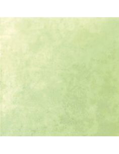 COULEUR METALLISEE IRISEE 10 GR / 750°C-850°C - VERT NACRE