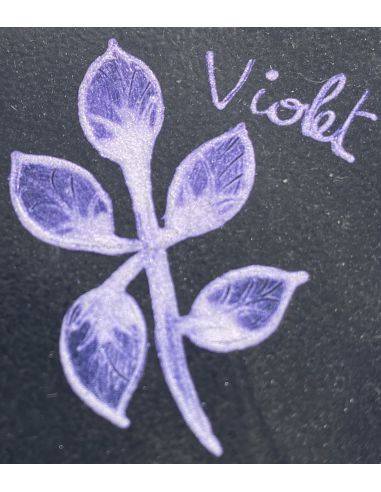 Pigment interférentiel violet | CATHERINE BERGOIN