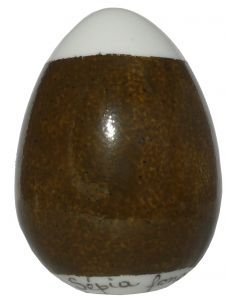 Couleur traditionnelle Marron sépia | CATHERINE BERGOIN