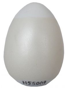 COULEUR METALLISEE ARGENT N°55009