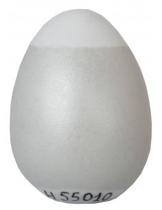 SERIE 55 GRIS ARGENT...
