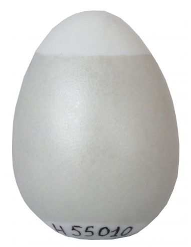 COULEUR METALLISEE GRIS ARGENT N°55010