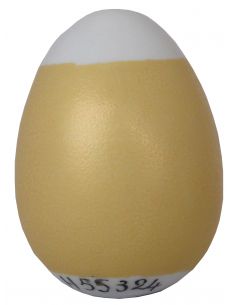 COULEUR METALLISEE OR CLAIR N°55324