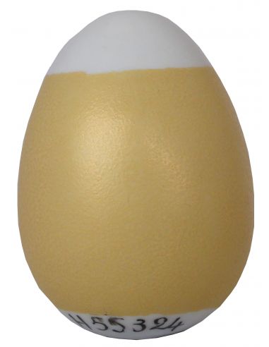 COULEUR METALLISEE OR CLAIR N°55324