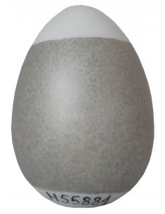 COULEUR METALLISEE ARGENT N°55881