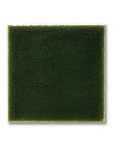 Email liquide unis Vert foncé FG1027 | TERRACOLOR