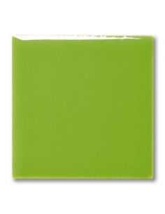 Email liquide unis Vert FG1039 | TERRACOLOR
