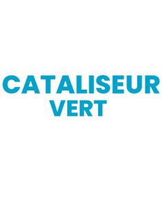 CATALISEUR RAPIDE VERT POT DE 1 KG