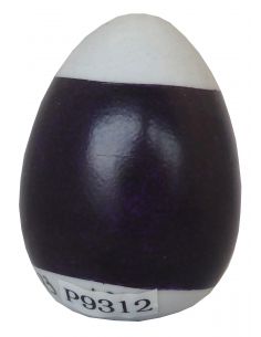 COULEUR CLEMATITE P9312