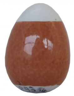 COULEUR ARIZONA P9354