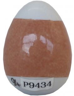 COULEUR SAUMON P9434