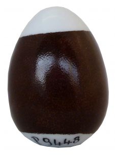 COULEUR MARRON P9448