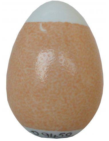 COULEUR CORAIL PALE P9459