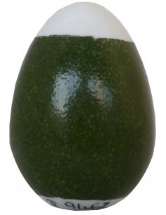 COULEUR VERT NOIR OMBRE P9467