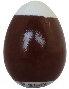 COULEUR OMBRE CHATAIGNE P9469