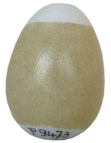 COULEUR CELADON P9473