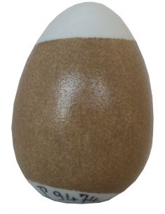 COULEUR CAFE CREME P9474