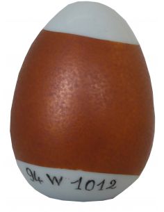 COULEUR MÉTALLIQUE BRONZE W1012