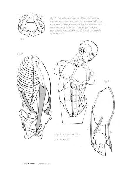 Livre "Formes articultaires" Michel Lauricella