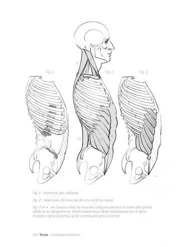 Livre "Formes articultaires" Michel Lauricella