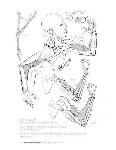 Livre "Formes articultaires" Michel Lauricella