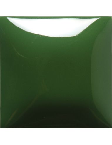 FN010 EMAIL OPAQUE BRILLANT TREE GREEN