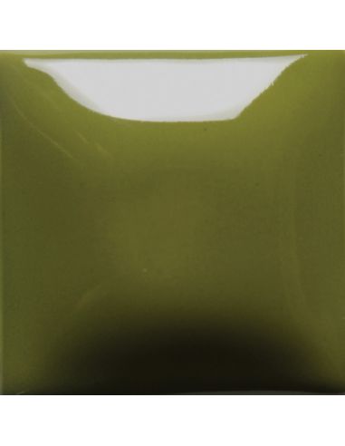 FN021 EMAIL OPAQUE BRILLANT OLIVE GREEN