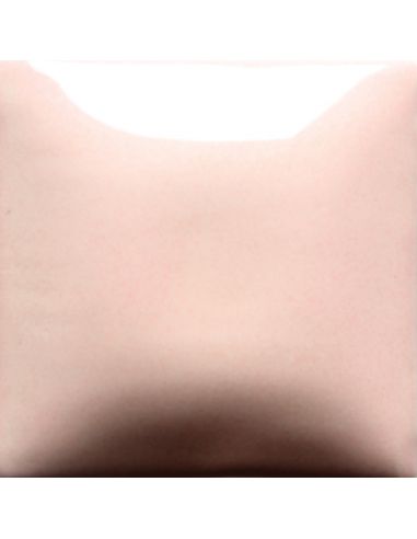 FN047 EMAIL OPAQUE BRILLANT LIGHT PINK