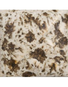 SW155 Email crystal WINTER WOOD | MAYCO