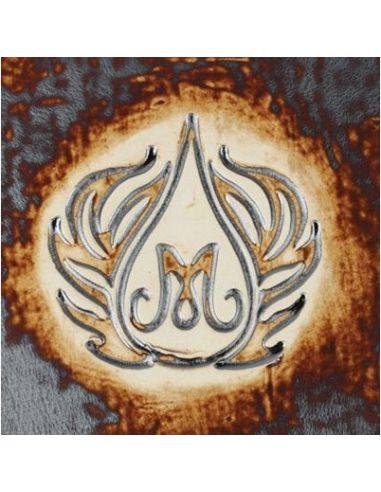 SW303 Colorant Manganèse wash | MAYCO