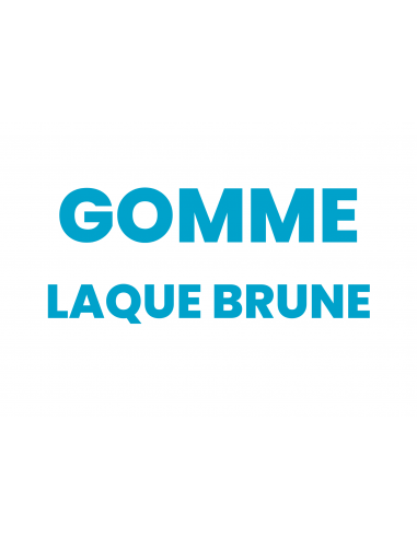 GOMME LAQUE BRUNE LIQUIDE