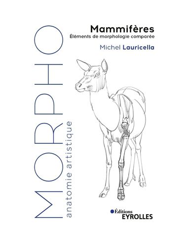 MORPHO/MAMMIFERES