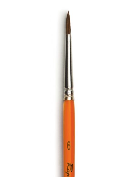 Pinceaux Raphaël série 831