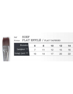 Pinceaux Léonard  créatif plat effilé 50EF