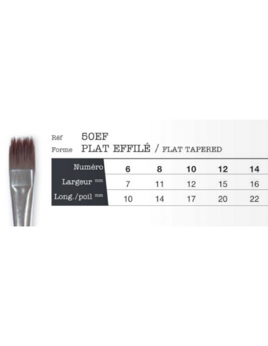 Pinceaux Léonard  créatif plat effilé 50EF