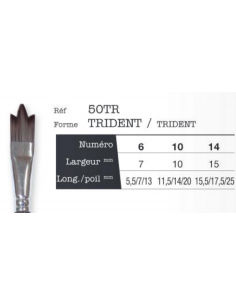 Pinceaux Léonard créatif trident 50TR