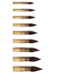 Pinceaux Raphael série 803