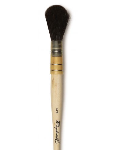 Pinceaux Raphael série 760