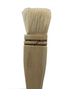 SERIE QUEUE DE MORUE 2