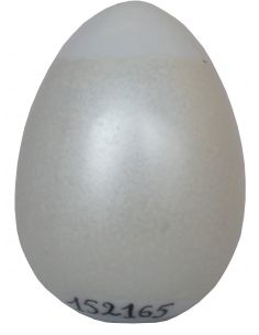COULEUR FERRO METALLISEE ARGENT C152165