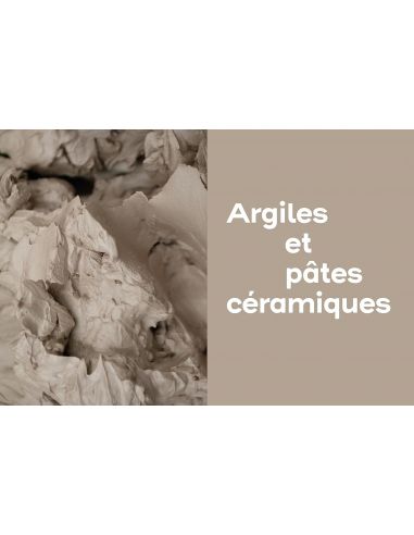 Livre "La science de la céramique" de Brune...