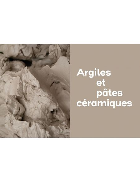 Livre "La science de la céramique" de Brune Somogyi