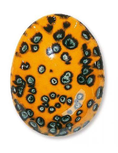 Email liquide à effets Vénus FE5252 | TERRACOLOR