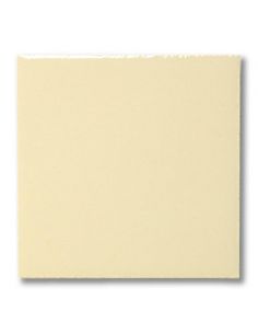 Email liquide unis Transparent FG1010 | TERRACOLOR