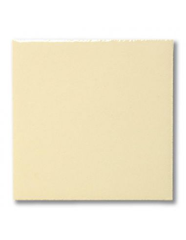 Email liquide unis Transparent FG1010 | TERRACOLOR